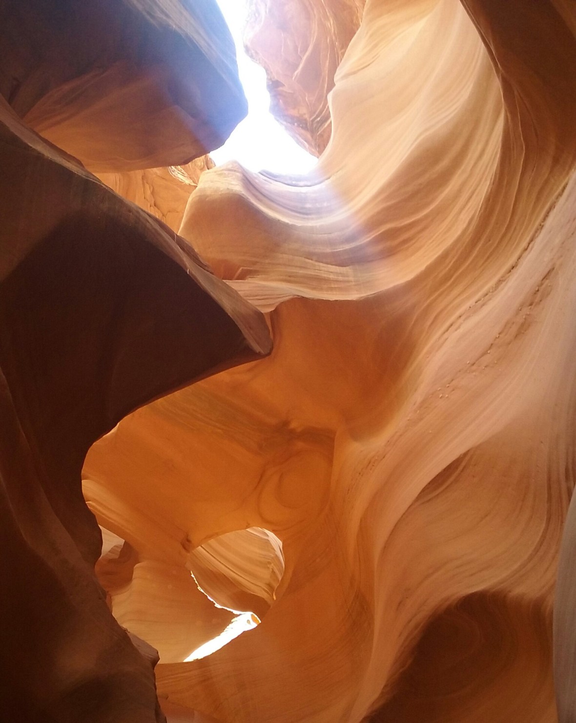 20160510_105950-1[1]