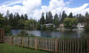 FB_IMG_1468952905489[1]