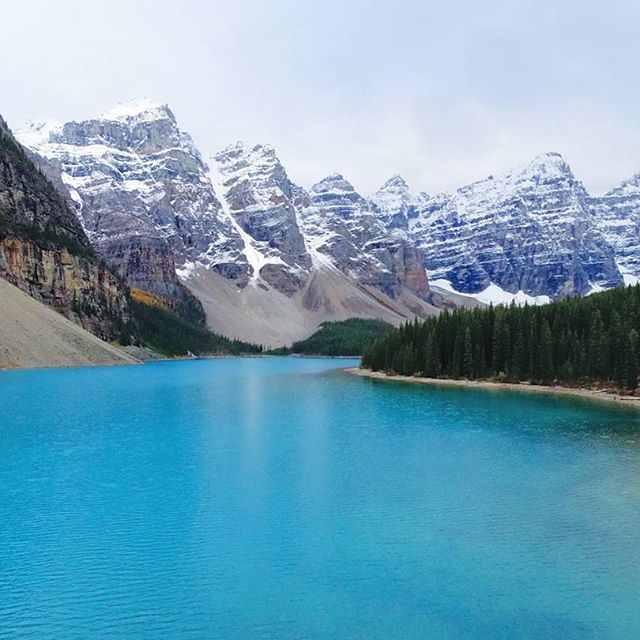 14374174_551628158381490_6919590556108587008_n