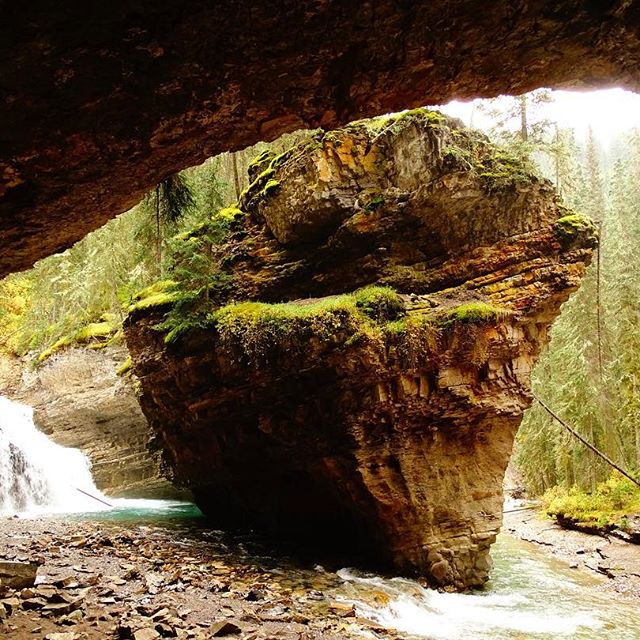 14498840_1291979460860824_6454548745886367744_n