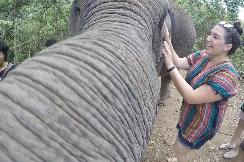 elephant-jungle-sanctuary