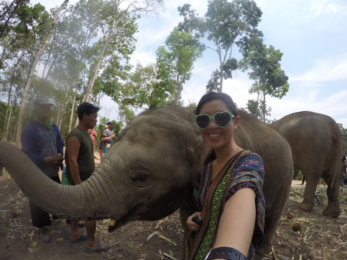 DCIM100GOPROGOPR0384.