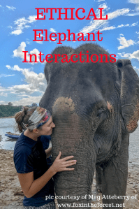 Ethical Elephant Interactions. Read about ethical experiences from multiple travel bloggers. The truth about elephant rides and some sanctuaries.