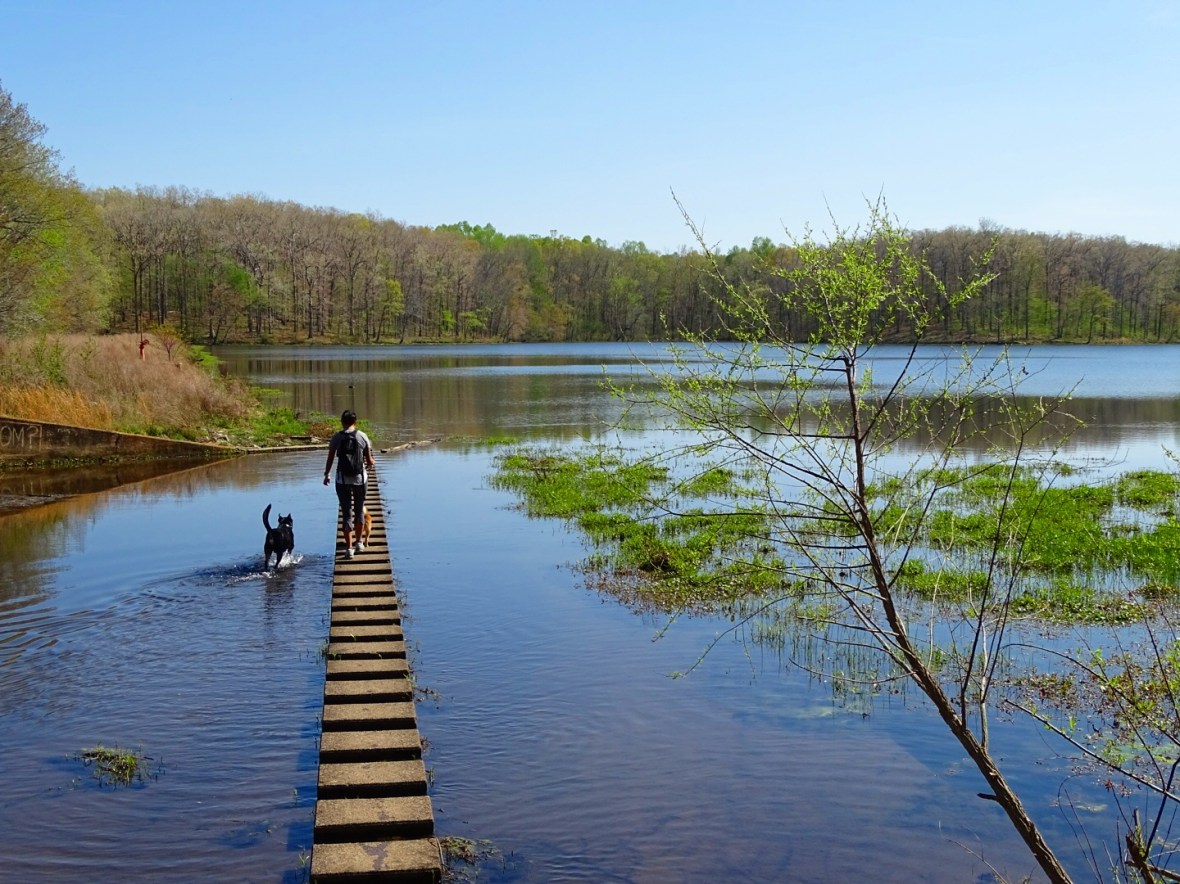 IMG_20170412_213629_126[1]