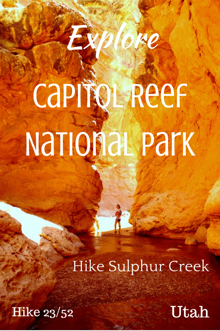 Explore Capitol Reef National Park. Hike Capitol Reef National Park. Hike Sulphur Creek in Capitol Reef National Park. Hike Utah.