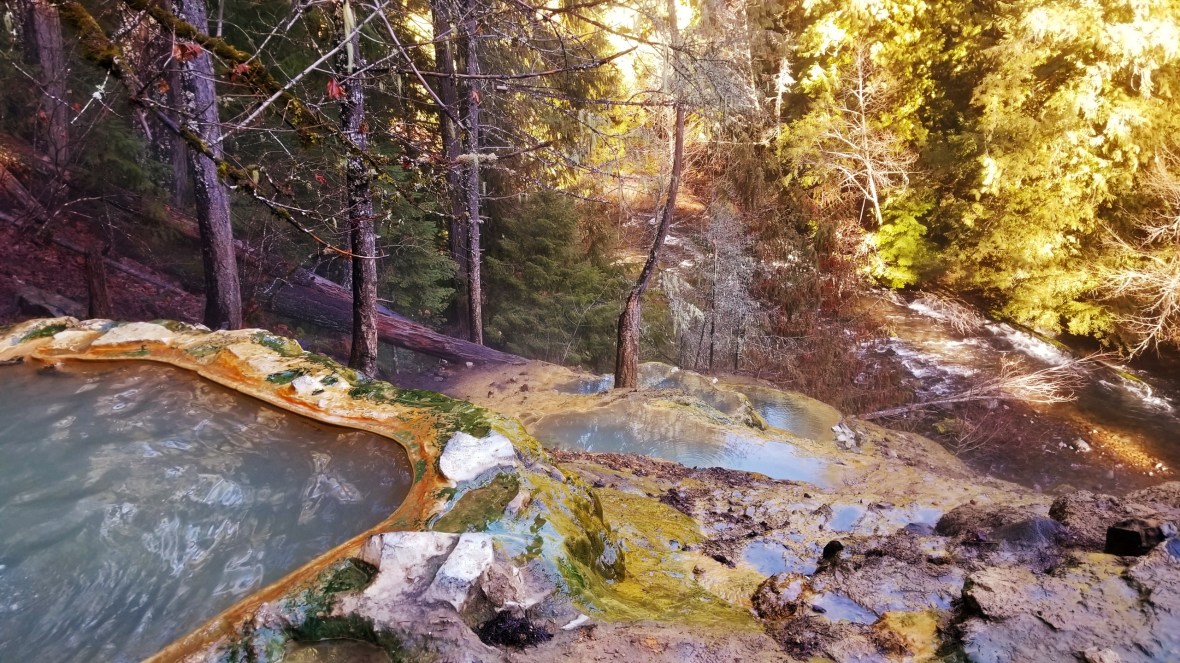 IMG_20180101_171500_240[1]