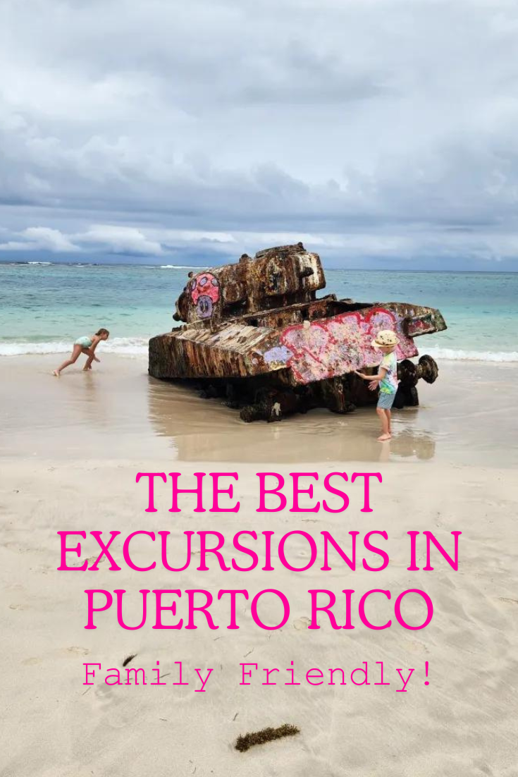 Experience The Best Excursions in Puerto Rico – 33andfree